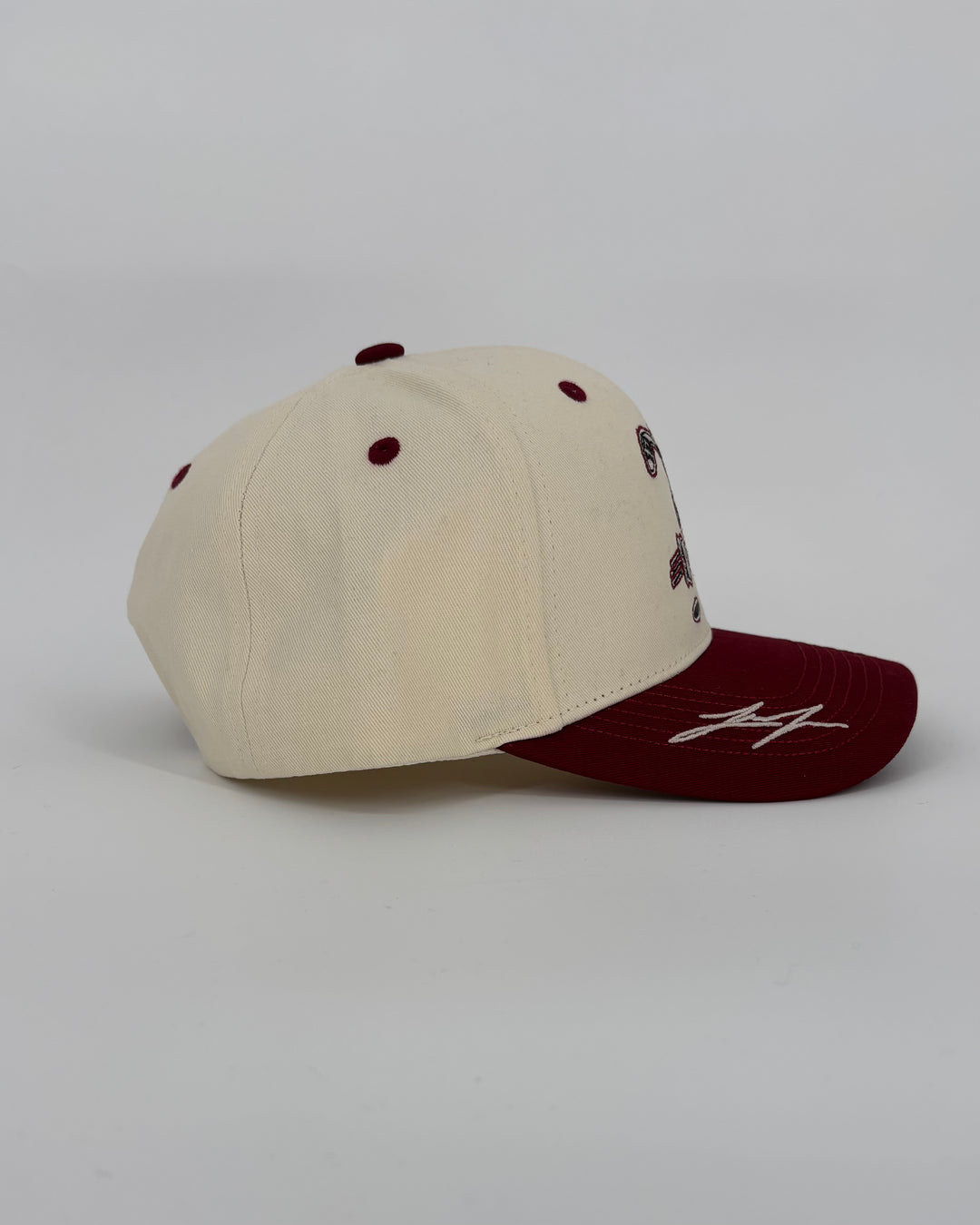 Rockford IceHogs Tellado Local Artist Hat