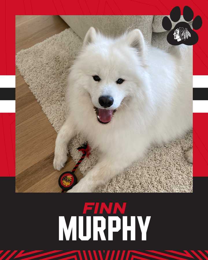 Chicago Blackhawks Pet Puck Rope Toy